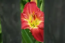 DSC02815.JPG