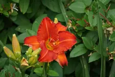 Smlg Glueck.webp
