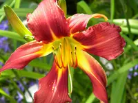 DSCN9323.webp