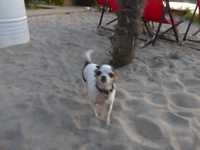 P1420286.webp