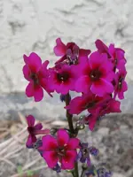 022_600x800.webp