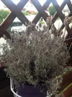 02.webp