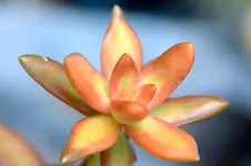 DSC_0746.webp