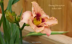 IMG_0640.webp