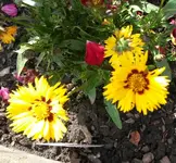 29.6.2015 028.webp