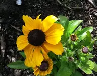 29.6.2015 029.webp