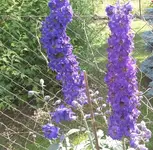 29.6.2015 031.webp
