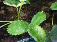 20150629_153845.jpg
