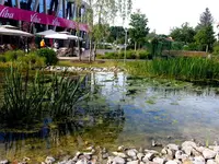 2015-06-28    Viba- Teichanlage (2).webp