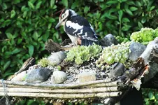 DSCF1692 (2).webp