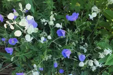 DSCF1732 (2).webp