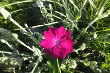 DSCF1731.webp