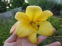 P1450254.webp
