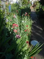DSCN2744.webp