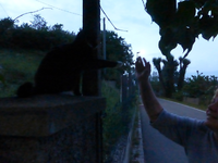 P1380295.webp