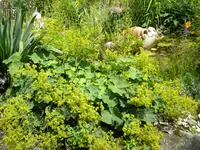 DSCN9322.webp