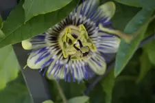 _DSC8567.webp