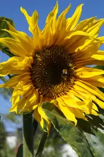 _DSC8563.webp