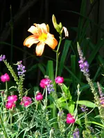 DSCN9328.webp