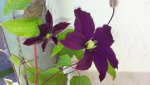 20150630_115441.jpg