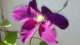 20150630_115528.webp