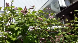 20150630_115813.webp
