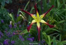 IMG_0678.webp