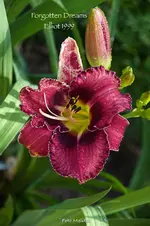IMG_0680.webp