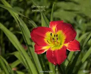 IMG_0683.webp