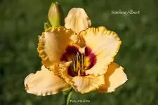 IMG_0686.jpg