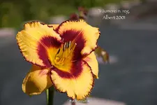 IMG_0699.webp