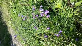 2015-06-23 17.18.25.jpg