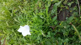 2015-06-23 17.18.55.jpg