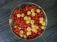 20150630_161709.webp