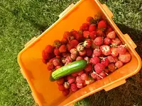 20150630_161821.webp