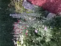 20150630_162008.webp