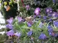 20150630_162222.webp