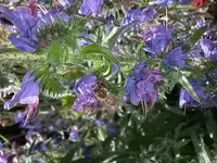 20150630_162301.webp