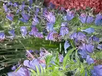 20150630_162352.webp