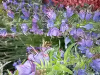 20150630_162355.webp