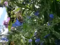 20150630_162517.webp