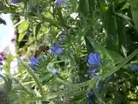 20150630_162526.webp