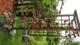 DSCF2626.webp