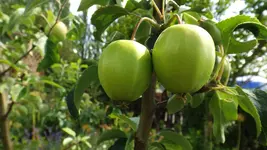 DSCF2629.webp