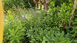 DSCF2634.webp