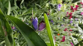 DSCF2651.webp