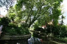 Tag. der off. Gartentür-Altheim Wasserschlösschen (8).webp