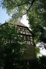 Tag. der off. Gartentür-Altheim Wasserschlösschen (10).webp