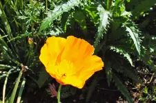 DSCF1734 (2).webp