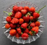 Forum Erdbeeren 40D_2015_06_26_00675.jpg